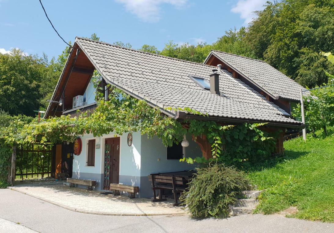 Zidanica Meglic - Vineyard Cottage Meglic Trebnje Ngoại thất bức ảnh