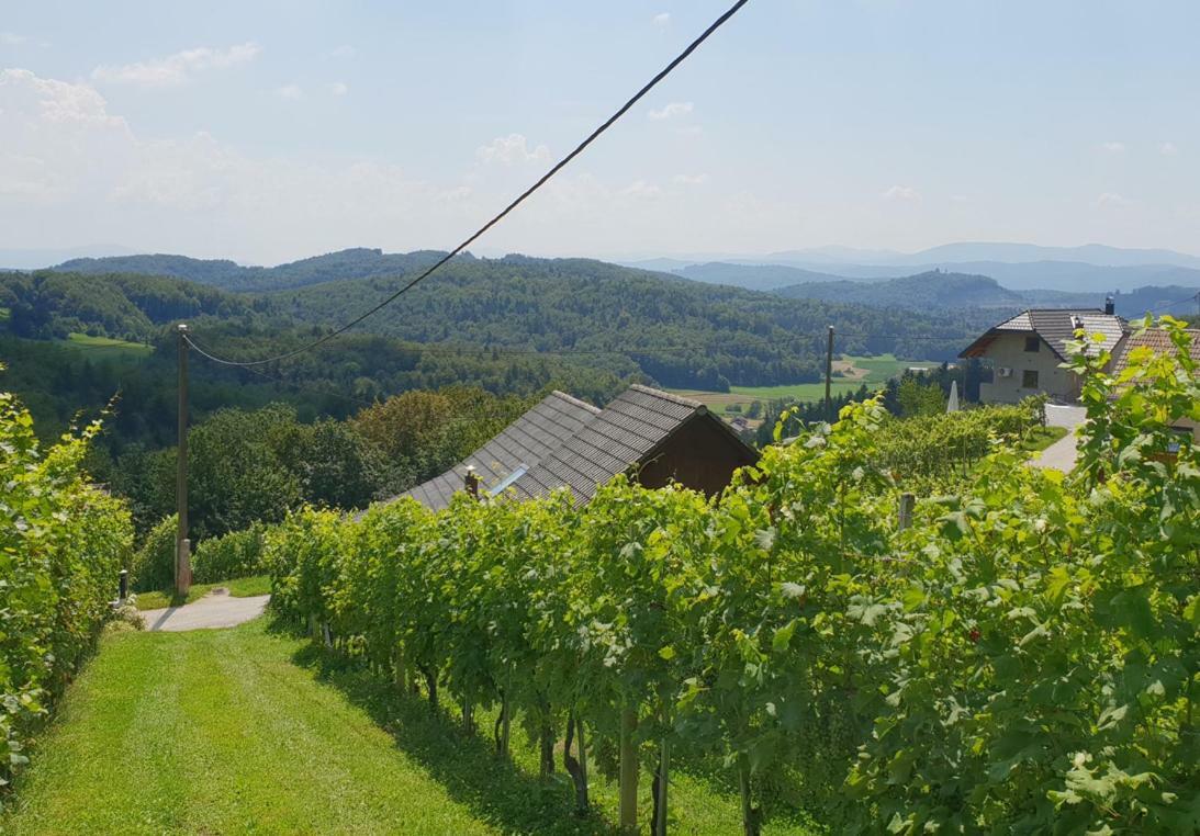 Zidanica Meglic - Vineyard Cottage Meglic Trebnje Ngoại thất bức ảnh