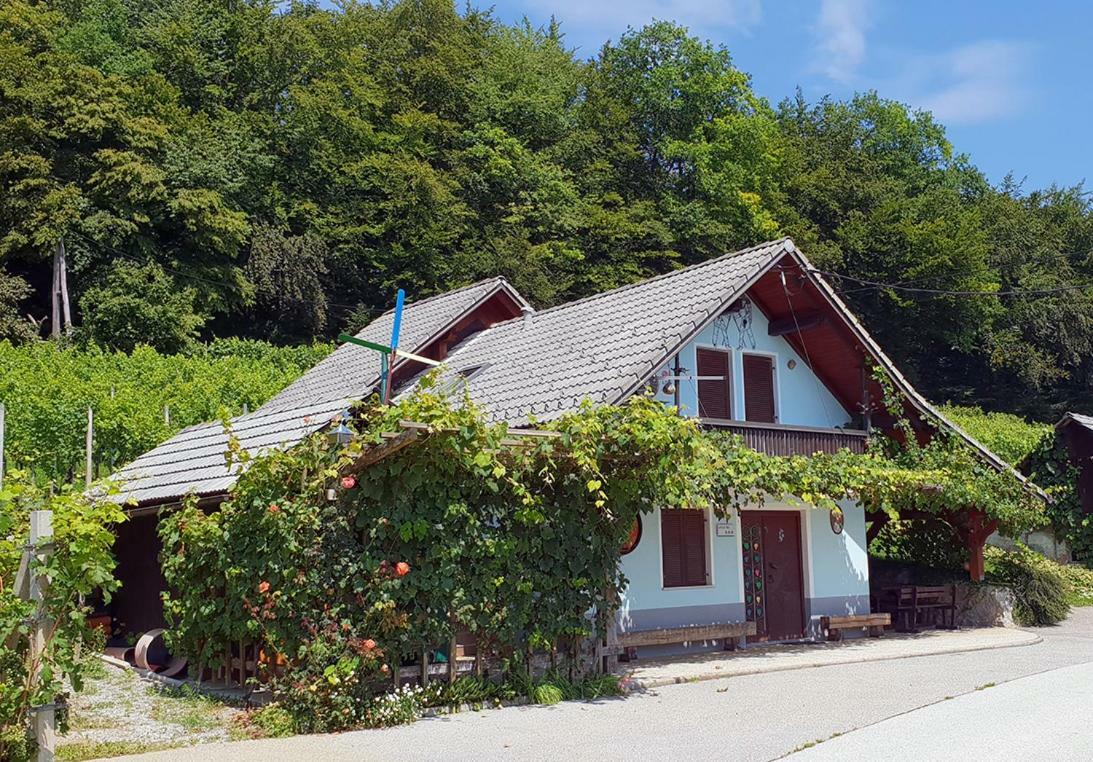 Zidanica Meglic - Vineyard Cottage Meglic Trebnje Ngoại thất bức ảnh
