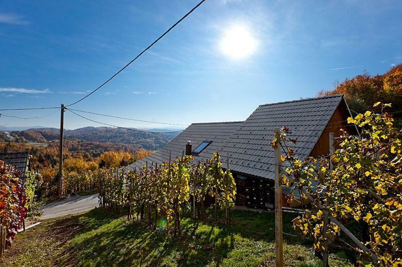 Zidanica Meglic - Vineyard Cottage Meglic Trebnje Ngoại thất bức ảnh